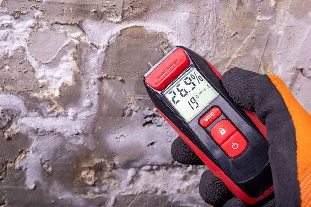 Best Attic Mold Removal  in Boulder, MT