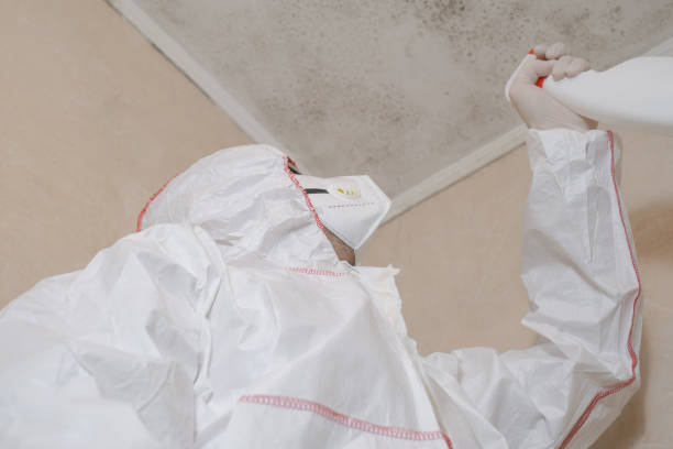 Best Crawl Space Mold Removal  in Boulder, MT